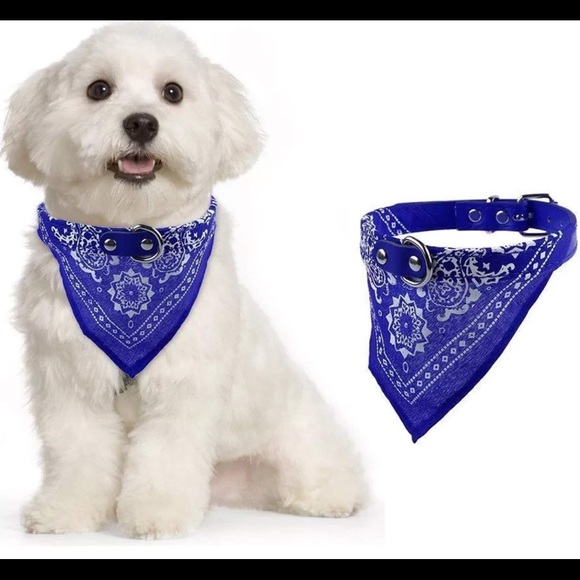 Very Glamorous Pet Collar Three Sizes - Picture 7 of 10